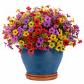 Planta Artificial con Flores Multicolor en Maceta Azul 40cm