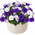Ramo de Flores Artificiales en Maceta Decorativa Púrpura/Blanco 40cm