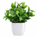 Planta Artificial Verde con Maceta Blanca, Altura 30 cm