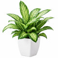 Planta Artificial Verde y Blanco en Maceta Elegante, 45cm