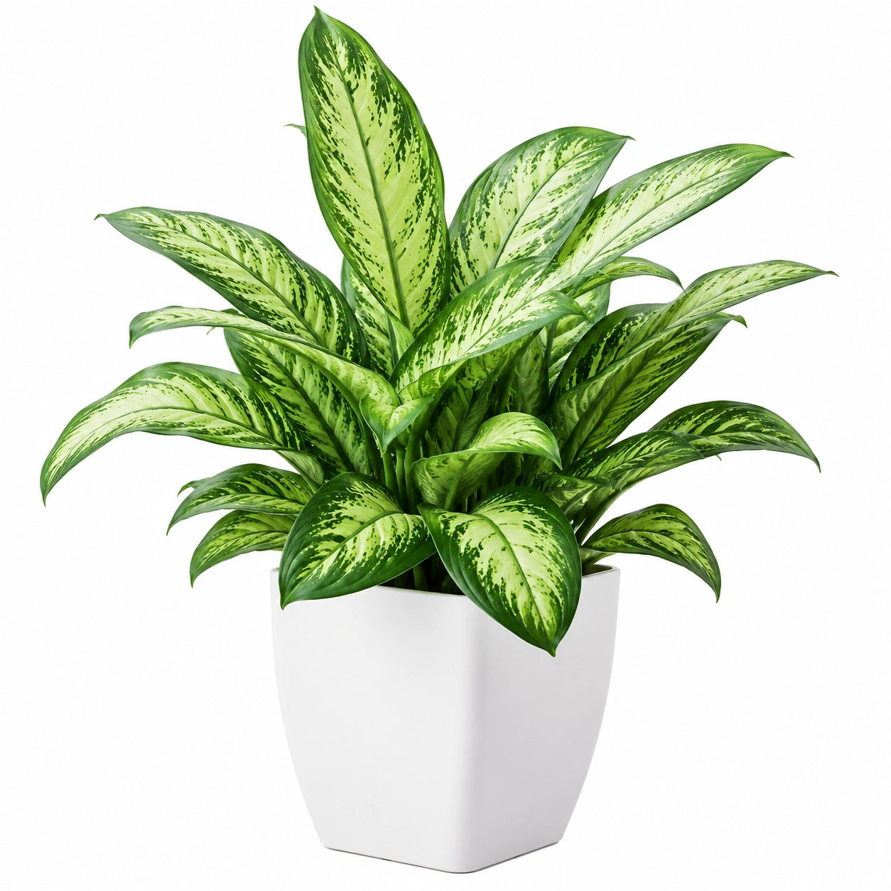 Planta Artificial Verde y Blanco en Maceta Elegante, 45cm