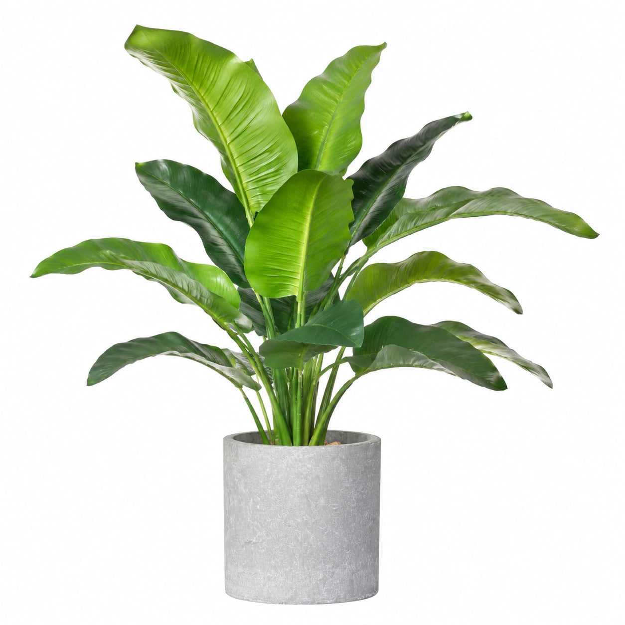 Planta Artificial Tropical Verde con Maceta de Cemento 100cm